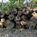 Chris Kilham with felled Amazon Rainforest Trees